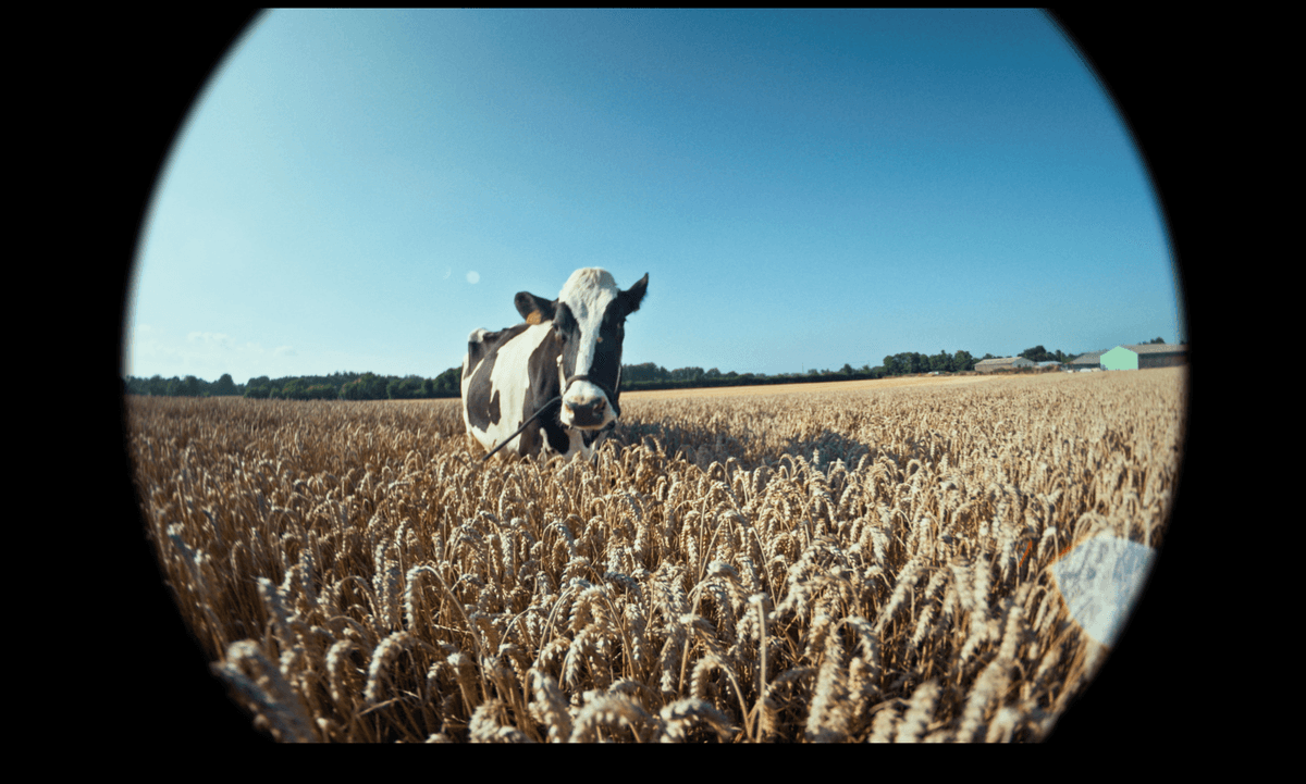 Photographie du projet